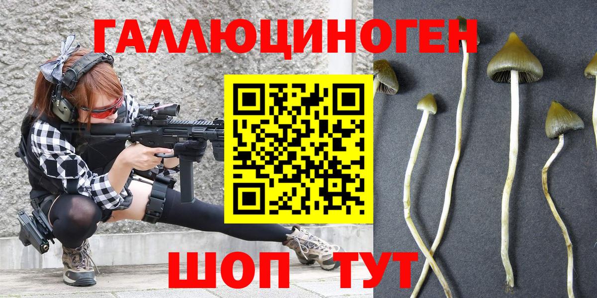 Галлюциногенные грибы Psilocybe  наркошоп  Бугуруслан  Псилоцибиновые грибы прущие грибы  Вход с VPN 